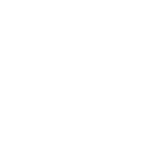 Boat rental service icon.