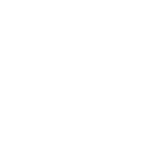 Jet Ski rental service icon.